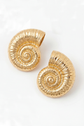 Conch Earrings